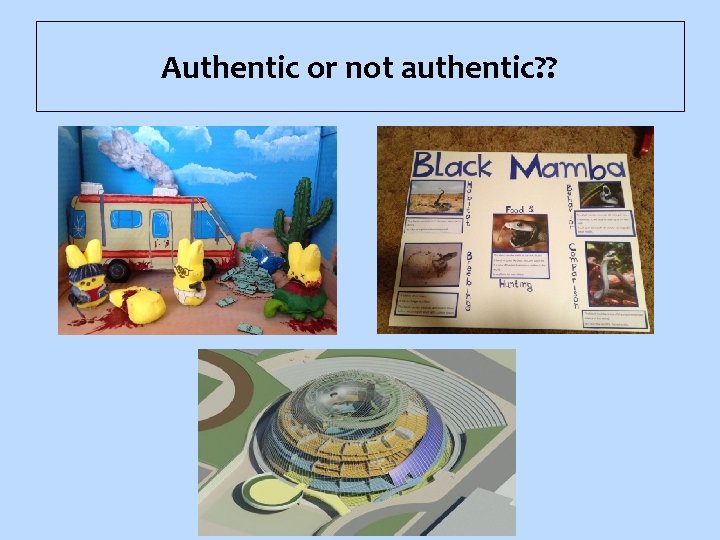 Authentic or not authentic? ? 