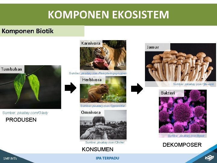 KOMPONEN EKOSISTEM Komponen Biotik Karnivora Tumbuhan Jamur Sumber: pixabay. com/Rekryteringsgruppen Herbivora Sumber: pixabay. com/Stevepb