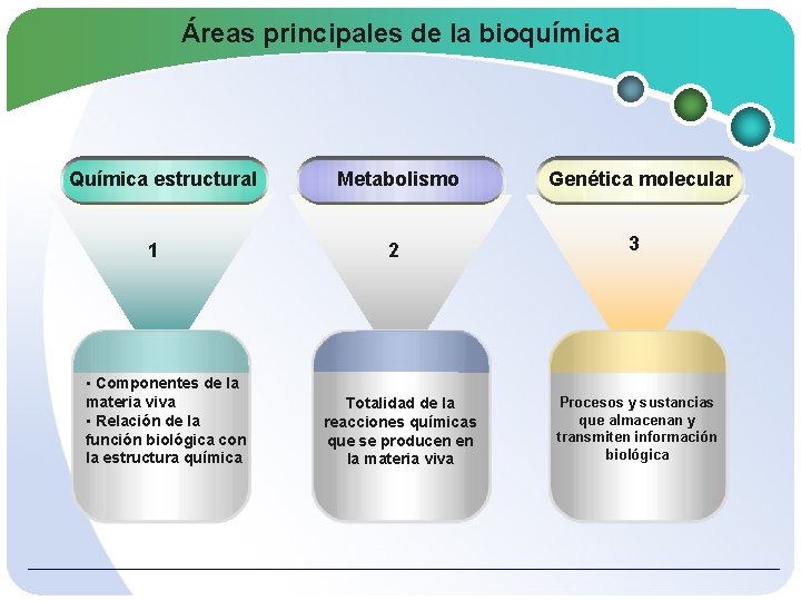 Áreas principales de la bioquímica Química estructural 1 • Componentes de la materia viva