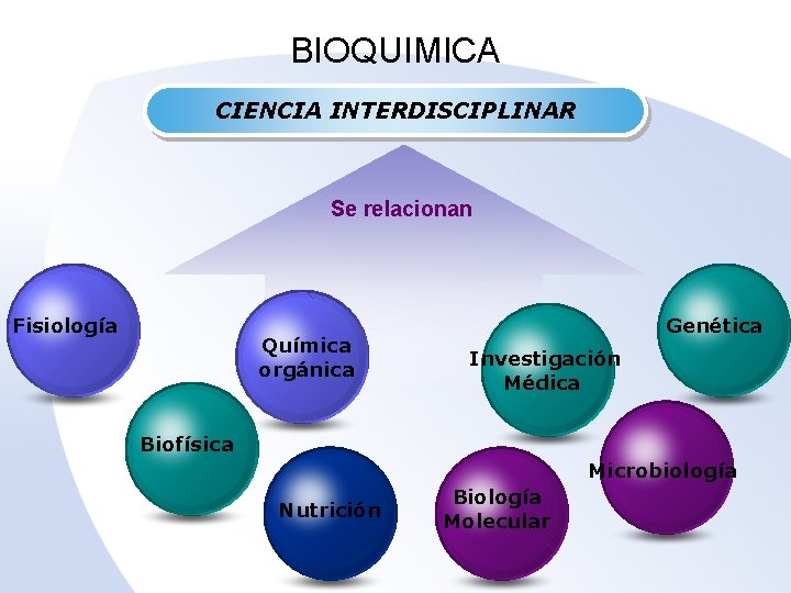 BIOQUIMICA CIENCIA INTERDISCIPLINAR Se relacionan Fisiología Química orgánica Genética Investigación Médica Biofísica Microbiología Nutrición