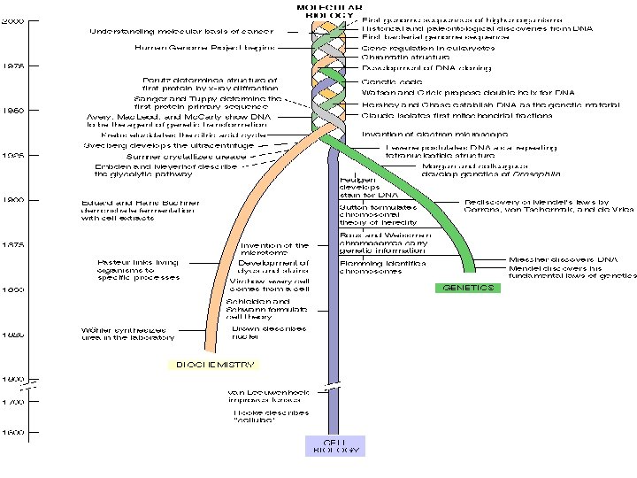 Raíces de la bioquímica 