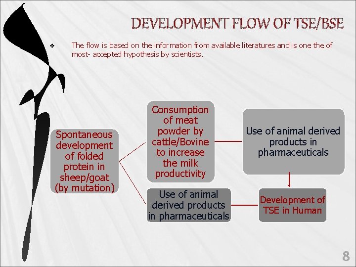 DEVELOPMENT FLOW OF TSE/BSE v The flow is based on the information from available