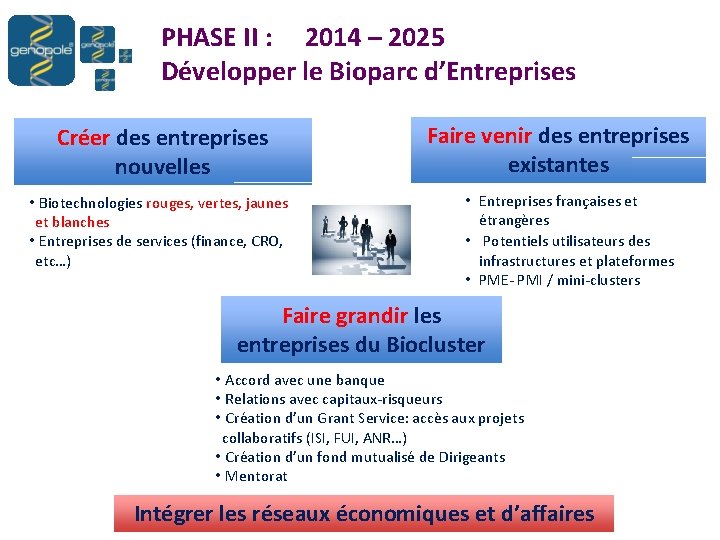 PHASE II : 2014 – 2025 Développer le Bioparc d’Entreprises Créer des entreprises nouvelles