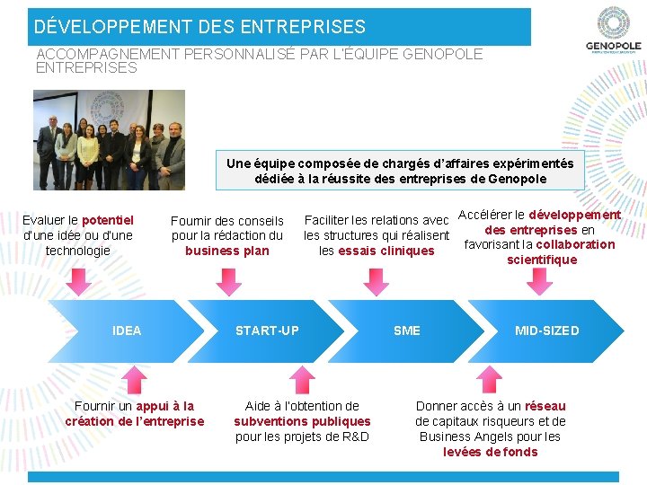 DÉVELOPPEMENT DES ENTREPRISES ACCOMPAGNEMENT PERSONNALISÉ PAR L’ÉQUIPE GENOPOLE ENTREPRISES Une équipe composée de chargés