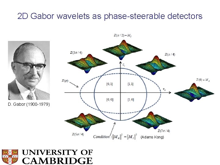 2 D Gabor wavelets as phase-steerable detectors D. Gabor (1900 -1979) (Adams Kong) 