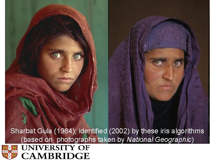 Sharbat Gula (1984); identified (2002) by these iris algorithms (based on photographs taken by