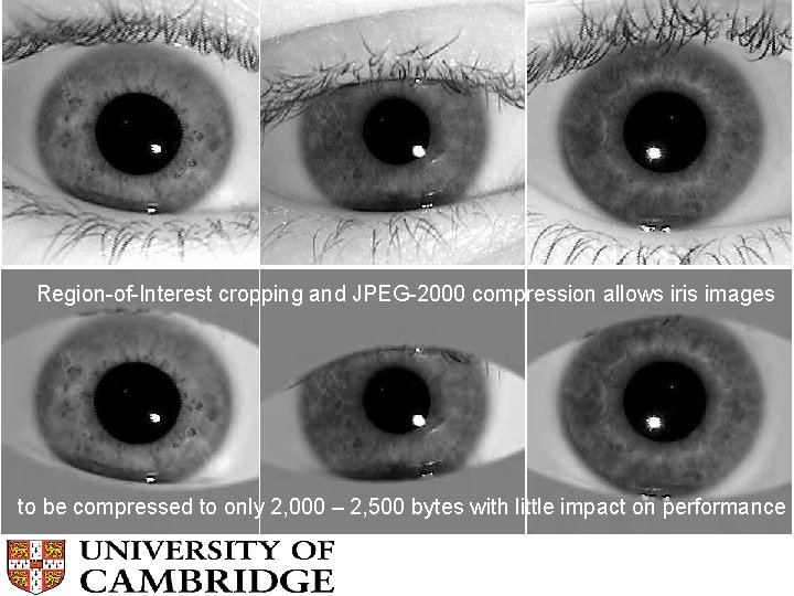 Region-of-Interest cropping and JPEG-2000 compression allows iris images to be compressed to only 2,