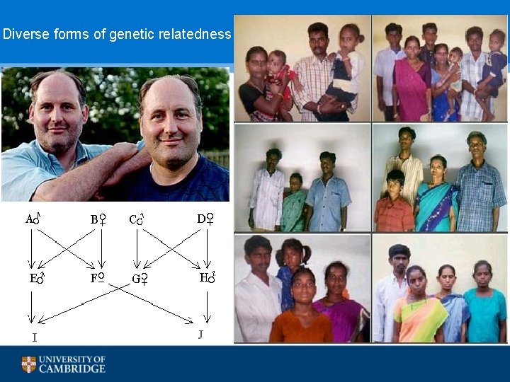 Diverse forms of genetic relatedness 