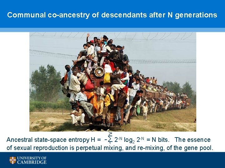 Communal co-ancestry of descendants after N generations 2 N Ancestral state-space entropy H =