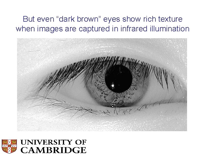 But even “dark brown” eyes show rich texture when images are captured in infrared