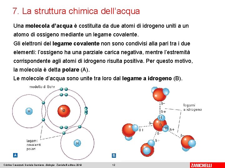 7. La struttura chimica dell’acqua Una molecola d’acqua è costituita da due atomi di