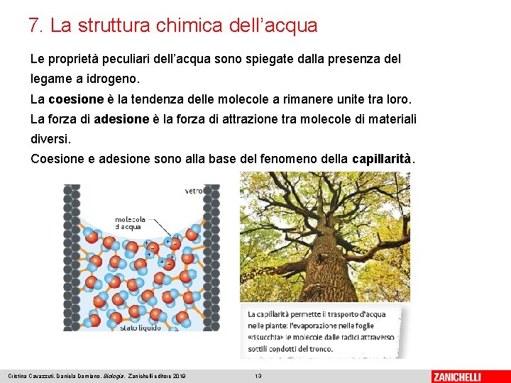 7. La struttura chimica dell’acqua Le proprietà peculiari dell’acqua sono spiegate dalla presenza del