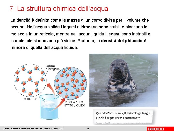 7. La struttura chimica dell’acqua La densità è definita come la massa di un 7. La struttura chimica dell’acqua La densità è definita come la massa di un