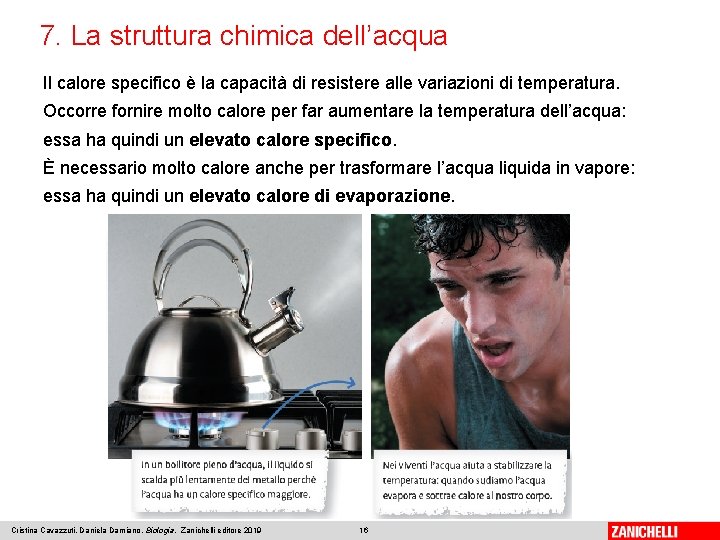 7. La struttura chimica dell’acqua Il calore specifico è la capacità di resistere alle 7. La struttura chimica dell’acqua Il calore specifico è la capacità di resistere alle