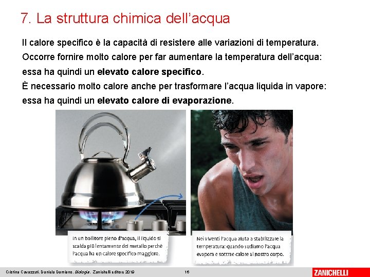 7. La struttura chimica dell’acqua Il calore specifico è la capacità di resistere alle