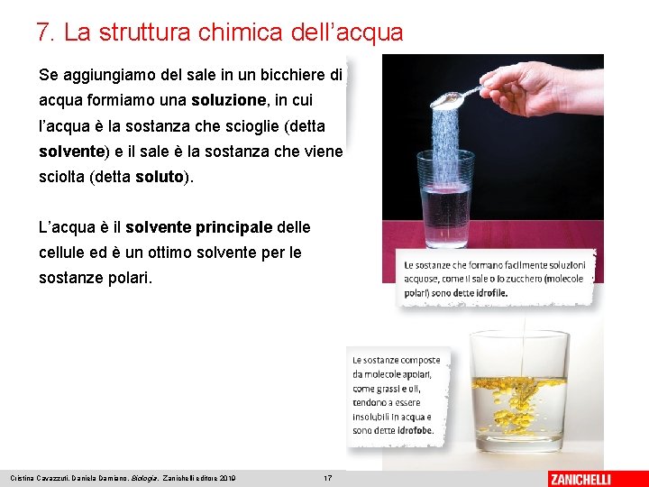 7. La struttura chimica dell’acqua Se aggiungiamo del sale in un bicchiere di acqua