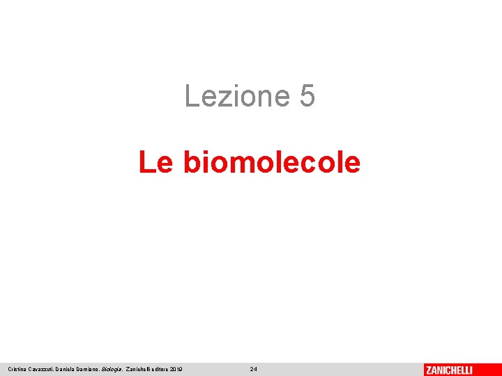 Lezione 5 Le biomolecole Cristina Cavazzuti, Daniela Damiano, Biologia, Zanichelli editore 2019 24 