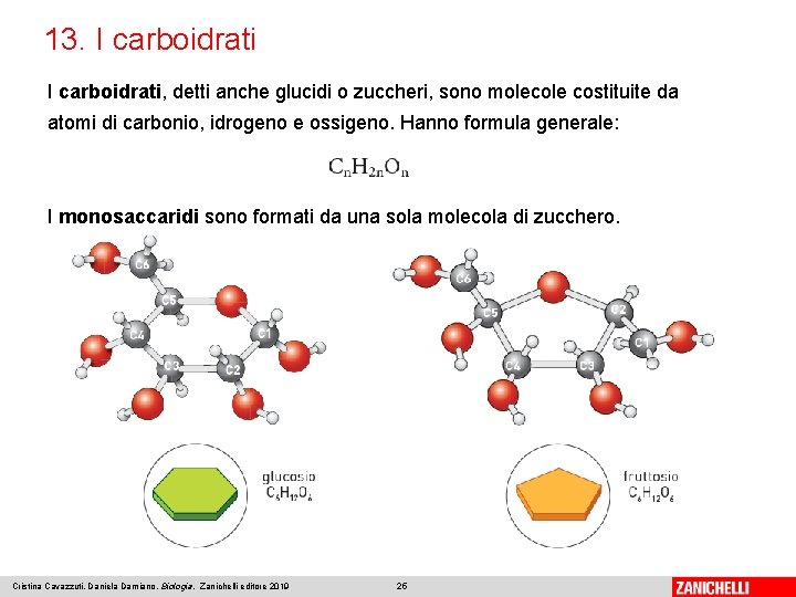13. I carboidrati, detti anche glucidi o zuccheri, sono molecole costituite da atomi di 13. I carboidrati, detti anche glucidi o zuccheri, sono molecole costituite da atomi di