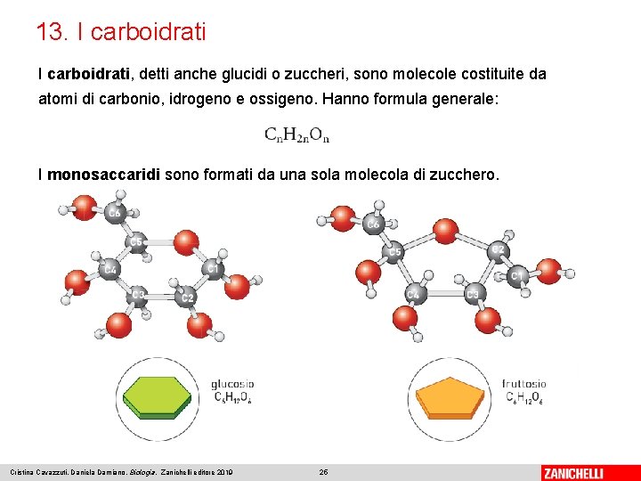 13. I carboidrati, detti anche glucidi o zuccheri, sono molecole costituite da atomi di