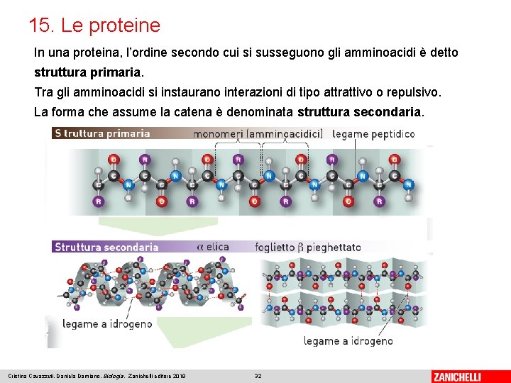 15. Le proteine In una proteina, l’ordine secondo cui si susseguono gli amminoacidi è