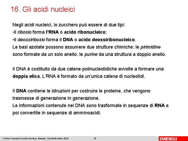 16. Gli acidi nucleici Negli acidi nucleici, lo zucchero può essere di due tipi: