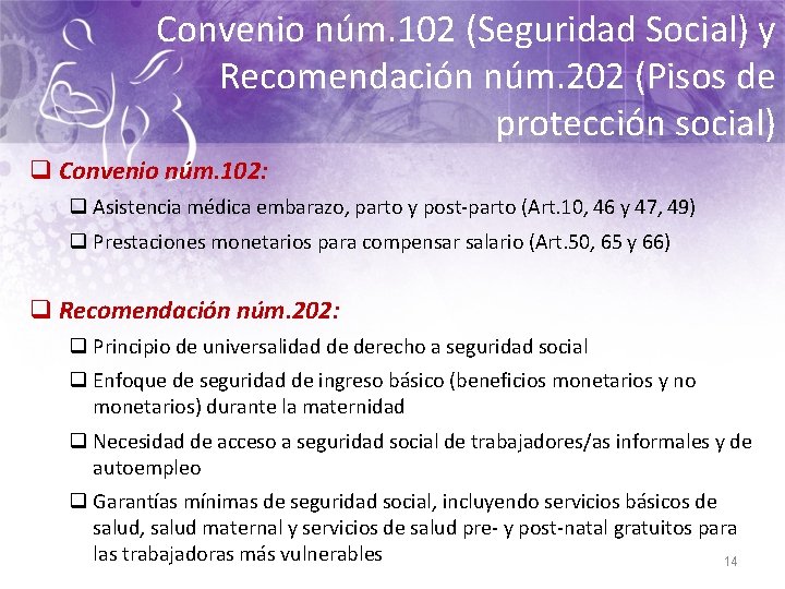 Convenio núm. 102 (Seguridad Social) y Recomendación núm. 202 (Pisos de protección social) q