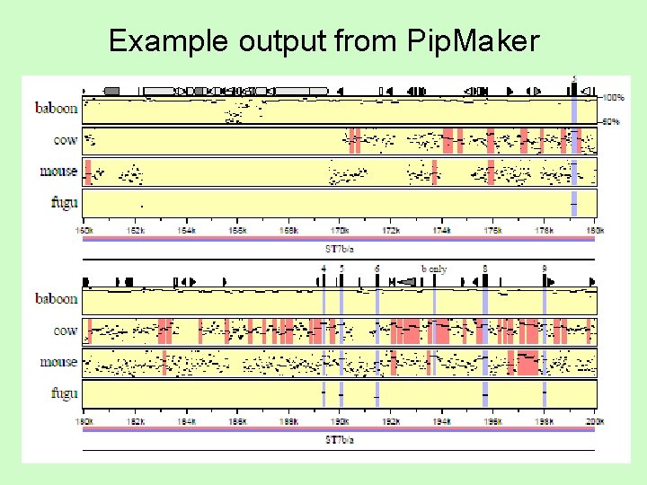 Example output from Pip. Maker 