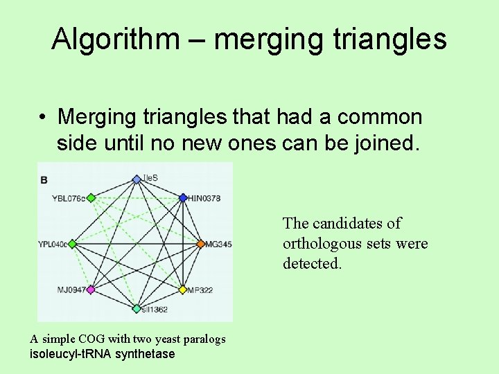 Algorithm – merging triangles • Merging triangles that had a common side until no