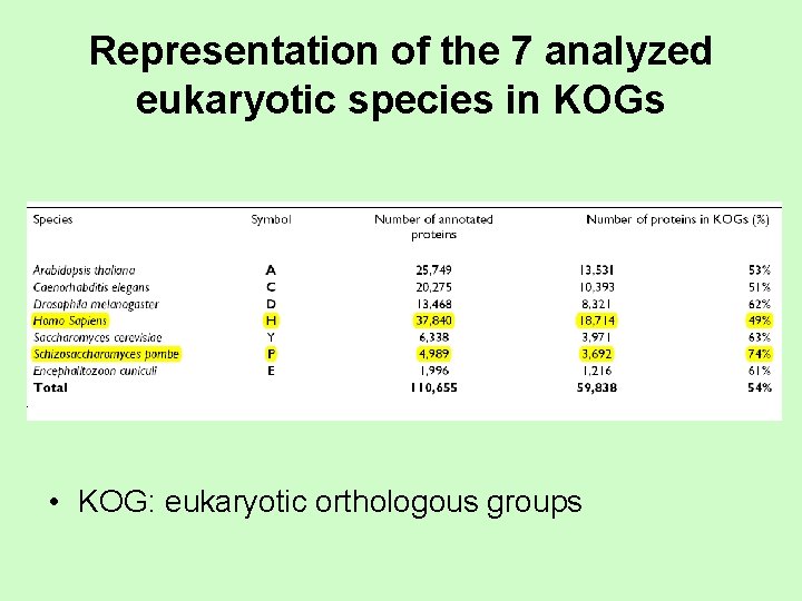 Representation of the 7 analyzed eukaryotic species in KOGs • KOG: eukaryotic orthologous groups