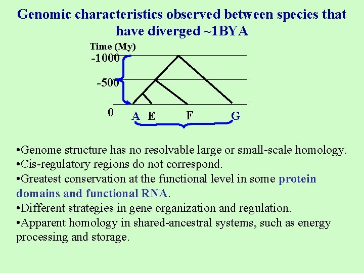 Genomic characteristics observed between species that have diverged ~1 BYA Time (My) -1000 -500