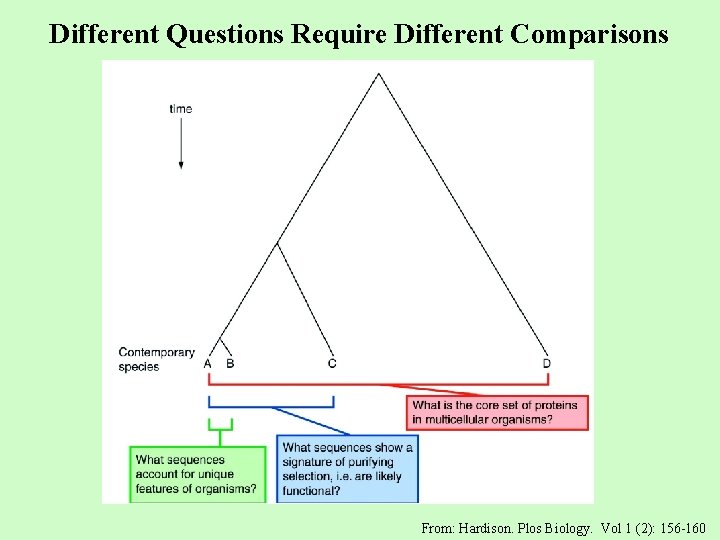 Different Questions Require Different Comparisons From: Hardison. Plos Biology. Vol 1 (2): 156 -160