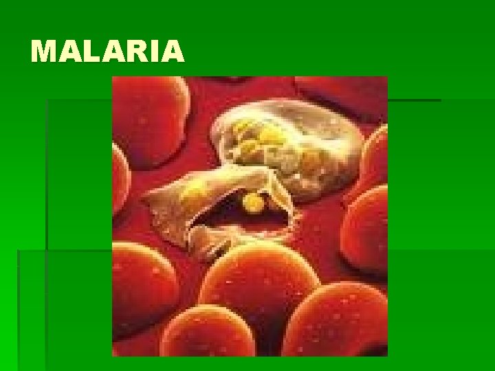 MALARIA 