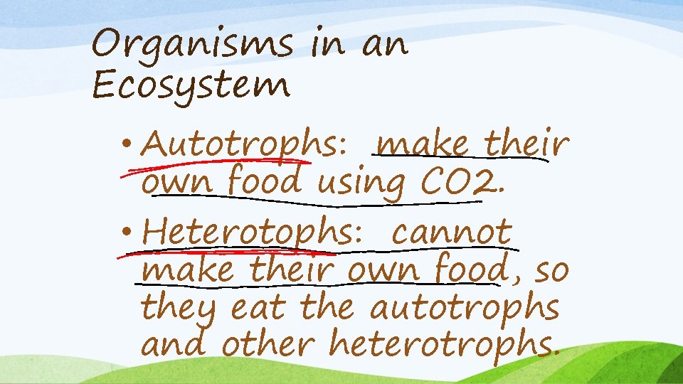 Organisms in an Ecosystem • Autotrophs: make their own food using CO 2. •