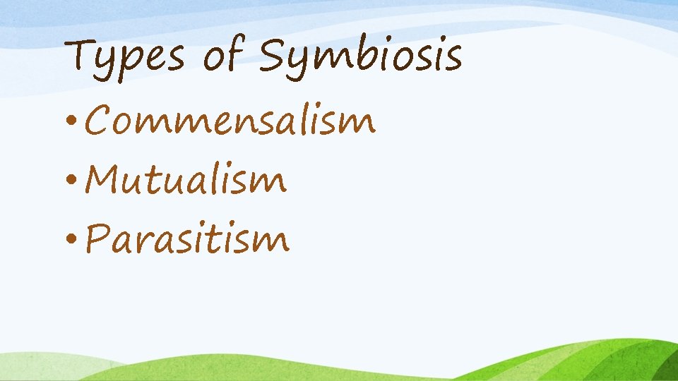 Types of Symbiosis • Commensalism • Mutualism • Parasitism 