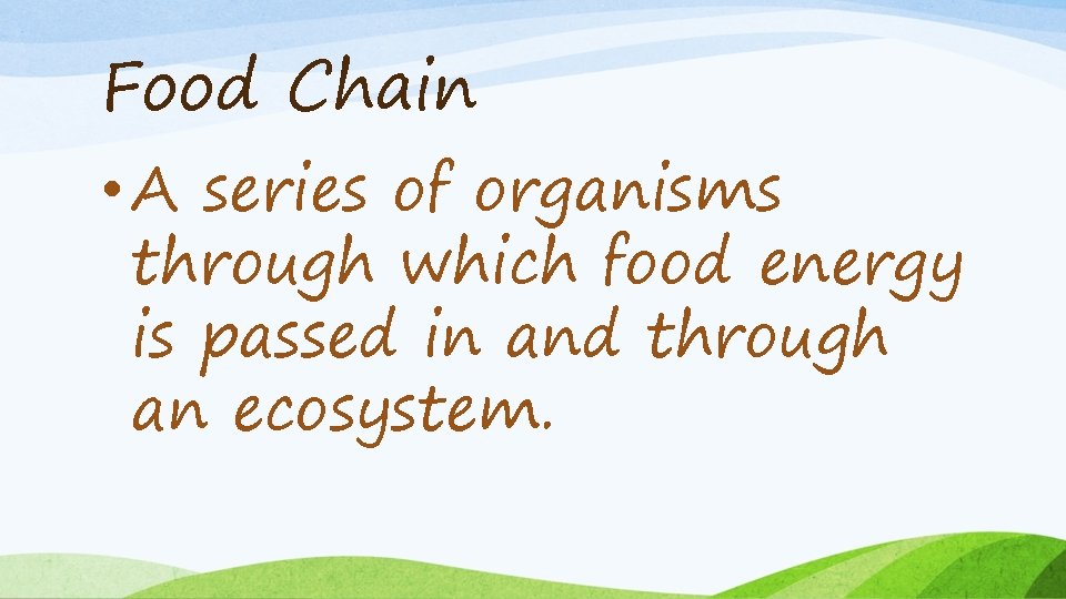 Food Chain • A series of organisms through which food energy is passed in