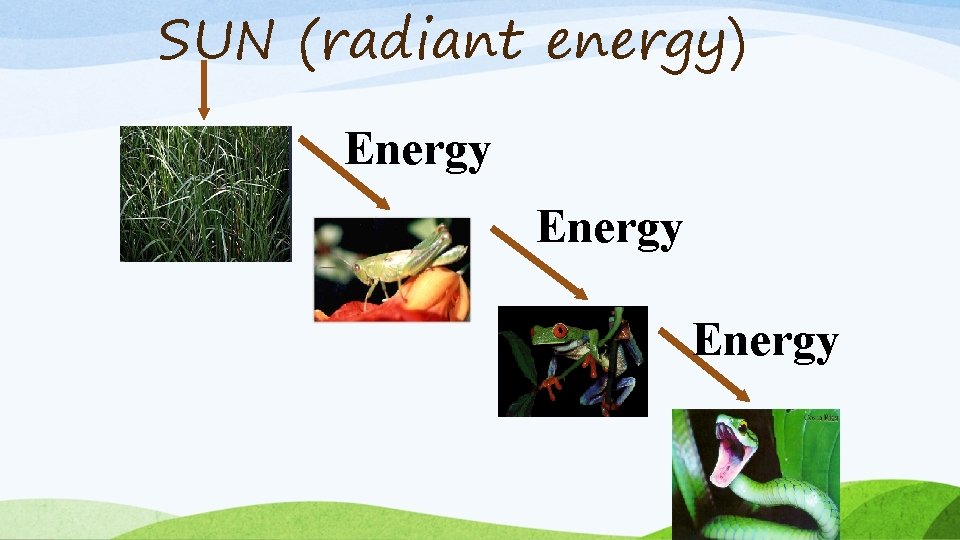 SUN (radiant energy) Energy 