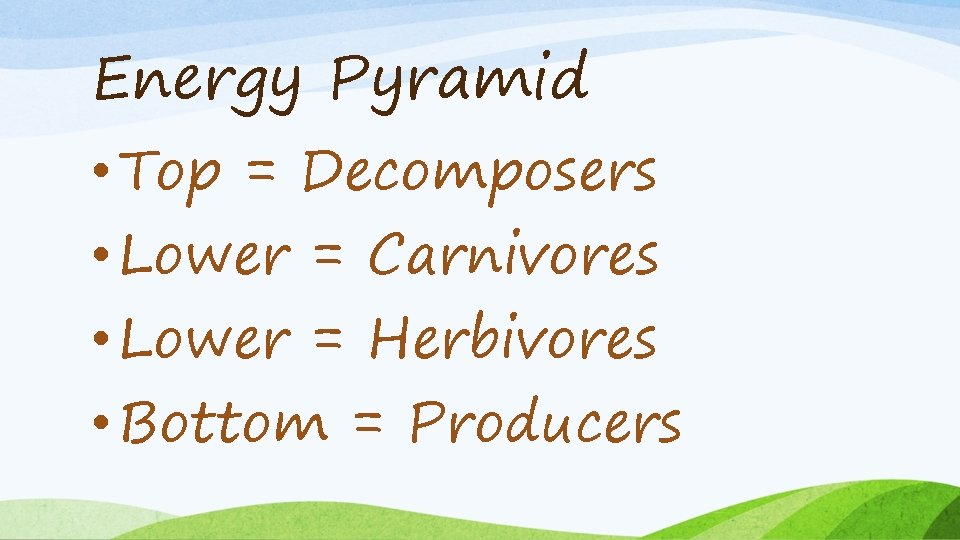 Energy Pyramid • Top = Decomposers • Lower = Carnivores • Lower = Herbivores