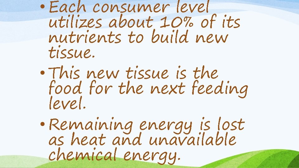  • Each consumer level utilizes about 10% of its nutrients to build new