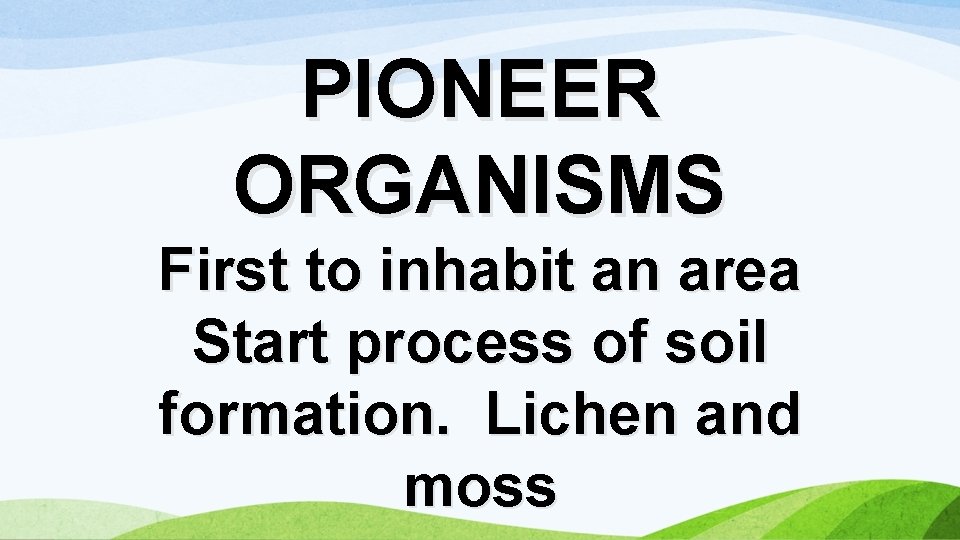 PIONEER ORGANISMS First to inhabit an area Start process of soil formation. Lichen and