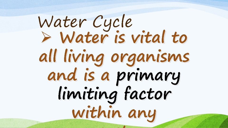 Water Cycle Ø Water is vital to all living organisms and is a primary