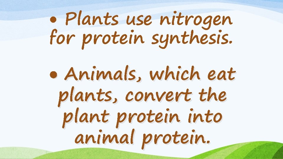  Plants use nitrogen for protein synthesis. Animals, which eat plants, convert the plant