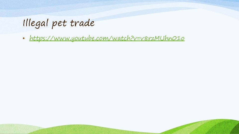 Illegal pet trade • https: //www. youtube. com/watch? v=v 8 rz. MUhn 01 o