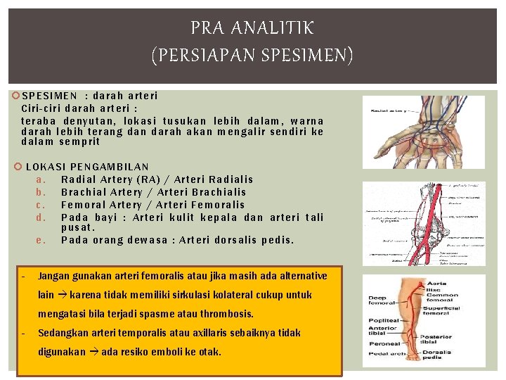 PRA ANALITIK (PERSIAPAN SPESIMEN) SP ESIMEN : darah arteri Ciri-ciri d arah arte ri