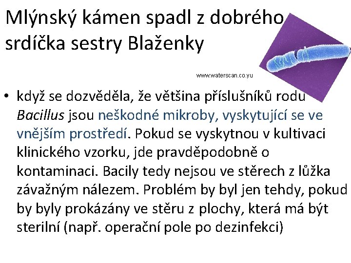 Mlýnský kámen spadl z dobrého srdíčka sestry Blaženky www. waterscan. co. yu • když