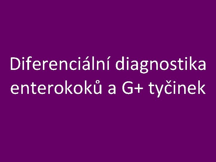 Diferenciální diagnostika enterokoků a G+ tyčinek 