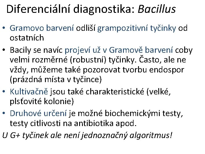 Diferenciální diagnostika: Bacillus • Gramovo barvení odliší grampozitivní tyčinky od ostatních • Bacily se