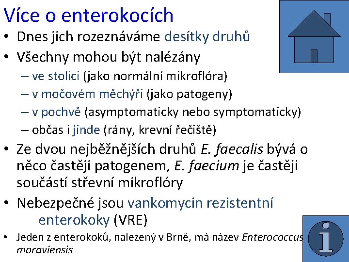 Více o enterokocích • Dnes jich rozeznáváme desítky druhů • Všechny mohou být nalézány