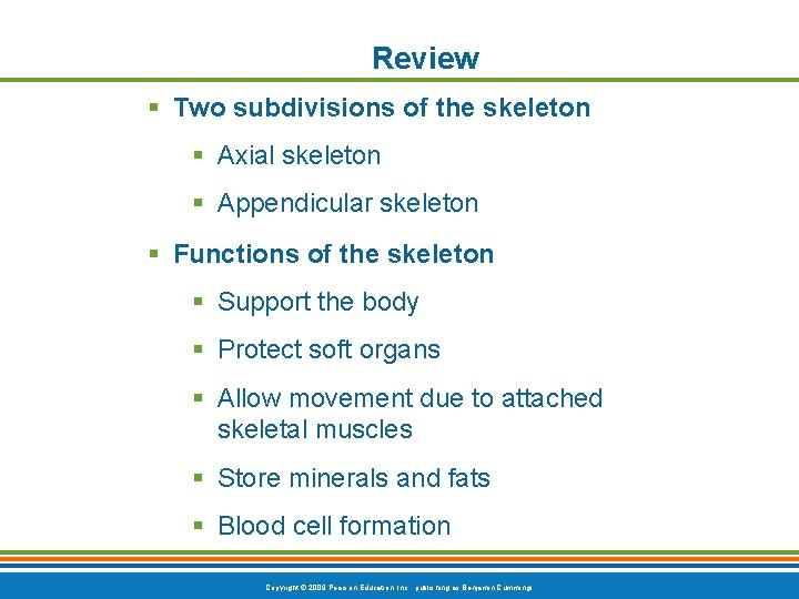 Review § Two subdivisions of the skeleton § Axial skeleton § Appendicular skeleton §