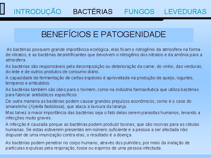  INTRODUÇÃO BACTÉRIAS FUNGOS LEVEDURAS BENEFÍCIOS E PATOGENIDADE As bactérias possuem grande importância ecológica,