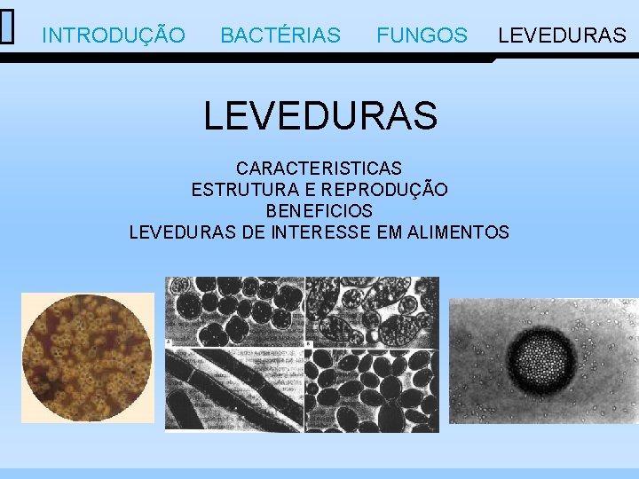  INTRODUÇÃO BACTÉRIAS FUNGOS LEVEDURAS CARACTERISTICAS ESTRUTURA E REPRODUÇÃO BENEFICIOS LEVEDURAS DE INTERESSE EM